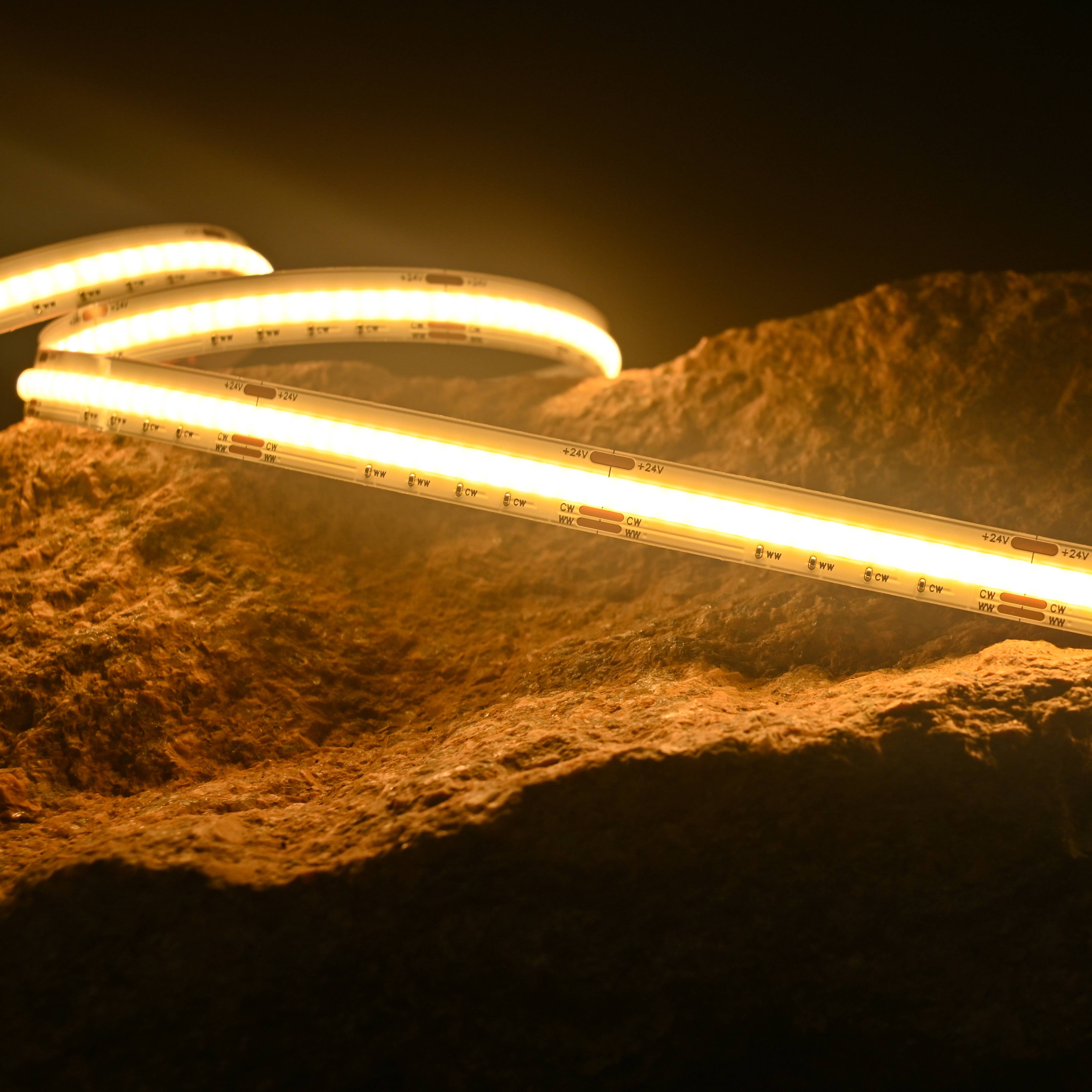 CCT Color COB Series: COB-640D-10MM-24V  IP20-IP65-IP67-IP68