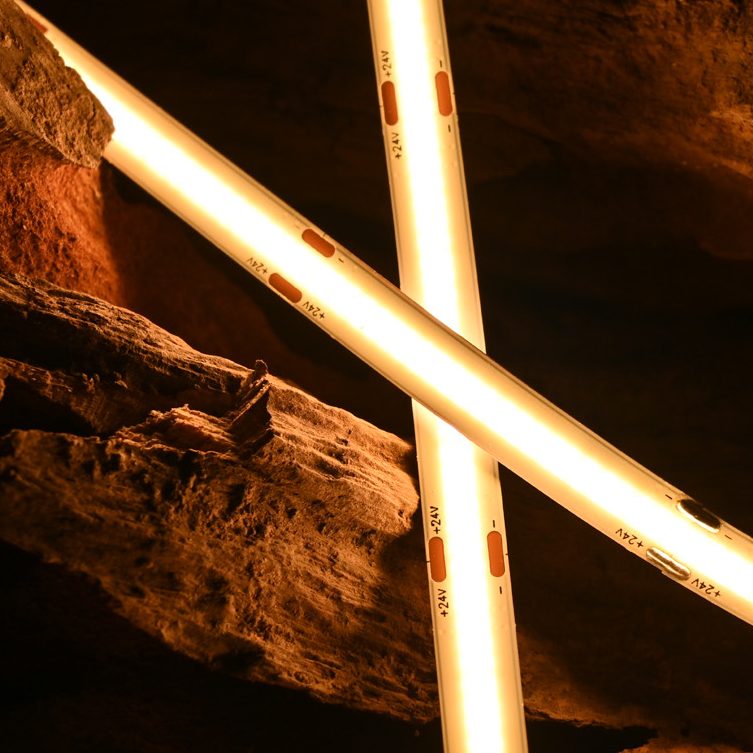 白光系列：COB-528D-8MM-24V