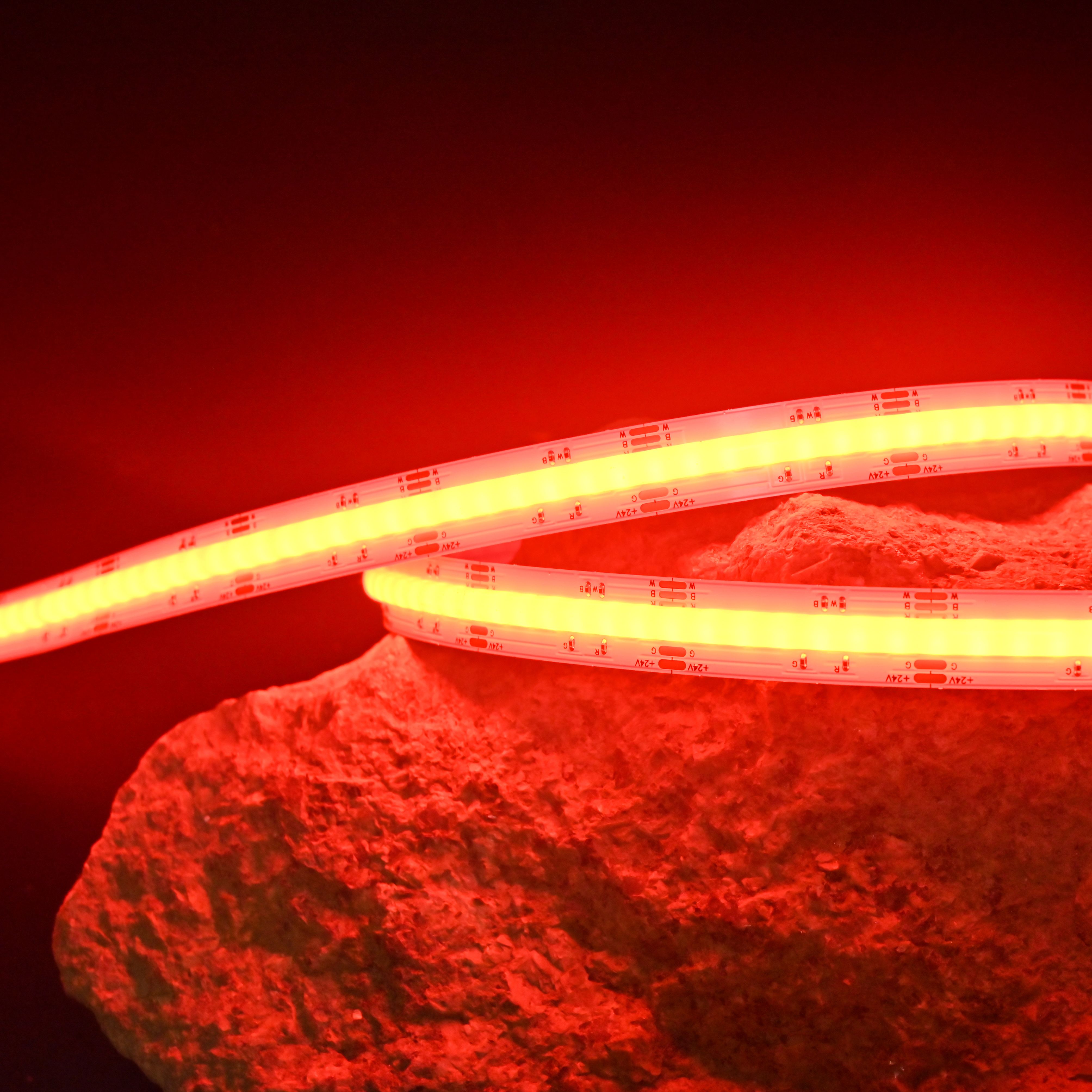 RGBW系列：COB-840D-12MM-24V