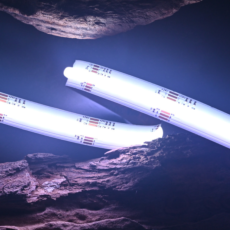 RGB&CCT系列：COB-910D-12MM-24V